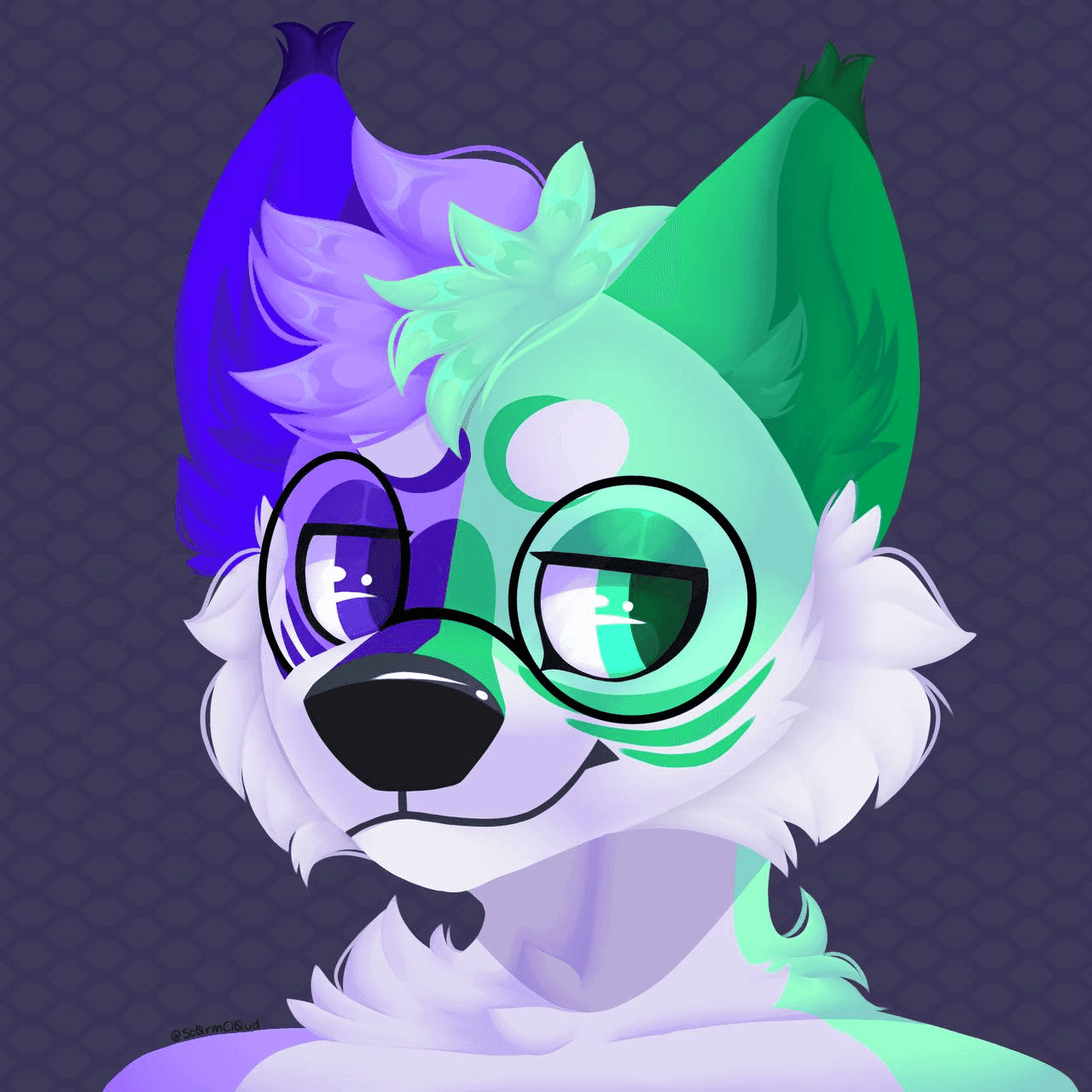 صورة المستخدم